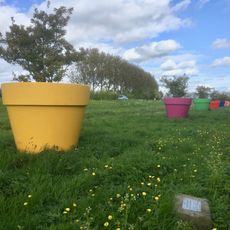 The Window Sill of Schiebroek