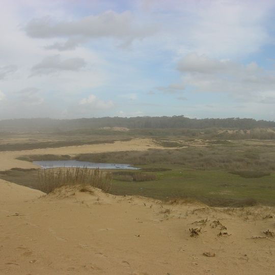 Paisagem Protegida Regional do Litoral de Vila do Conde e Reserva Ornitológica de Mindelo