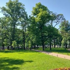 Дуб Александра II