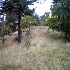 Björn Järnsidas hög