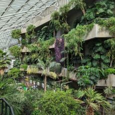 Barbican Conservatory