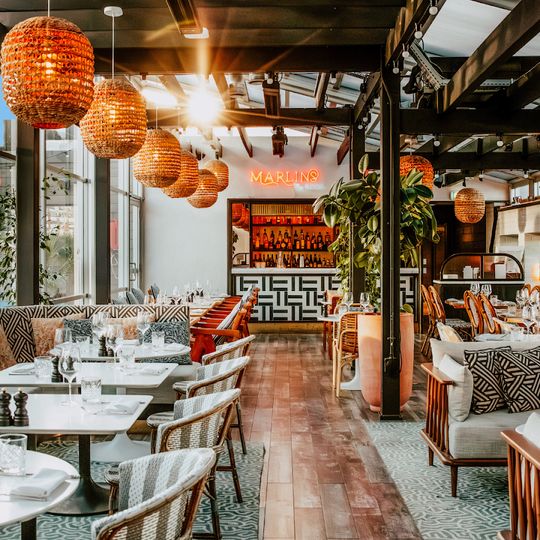 Marlin's on The Roof