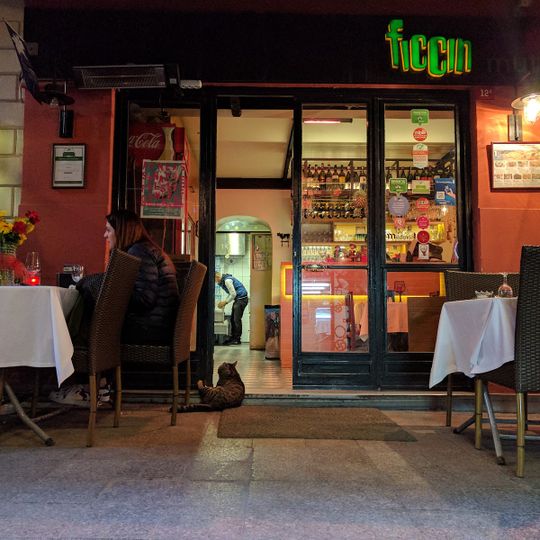 Fıccın