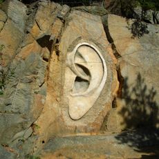 Bretschneiderovo ucho