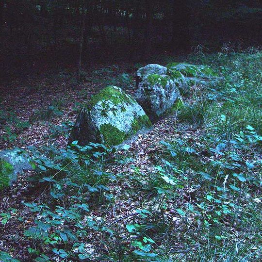 Großsteingrab Pinnesgrab