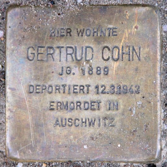 Stolperstein à la mémoire de Gertrud Cohn