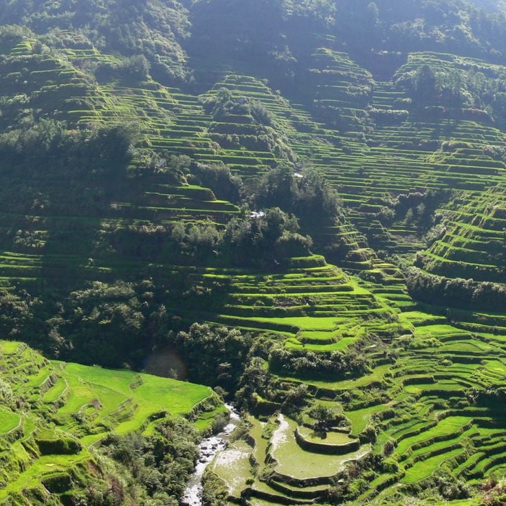 Banaue rice terraces