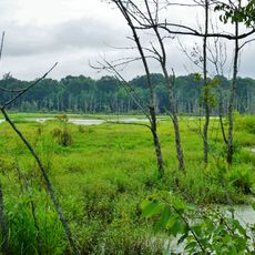 Pee Dee National Wildlife Refuge