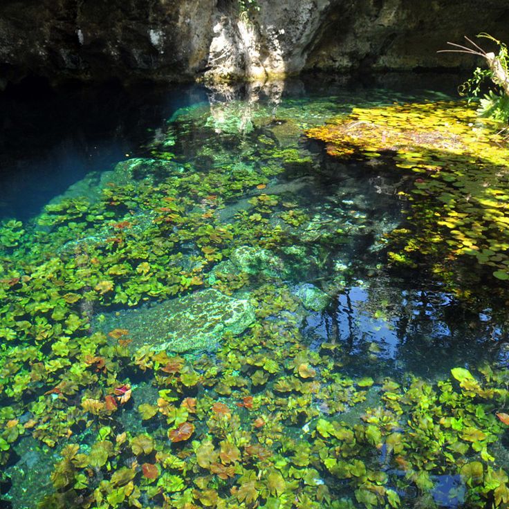 Cenote Sac Actún