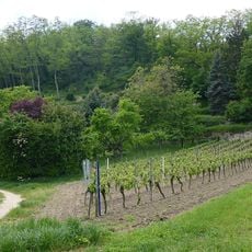 Haardtrand - Am Schlammberg