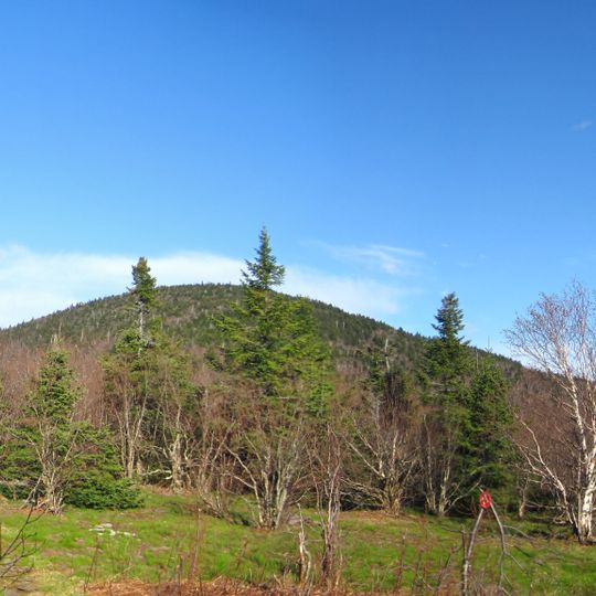 Thomas Cole Mountain