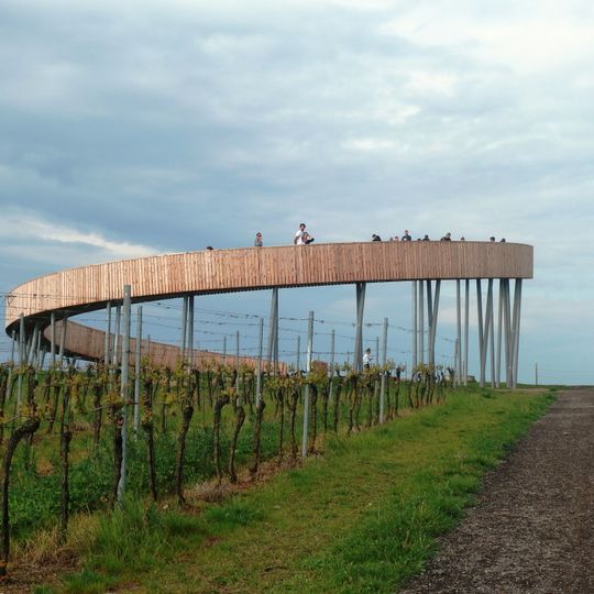 Stezka nad vinohrady