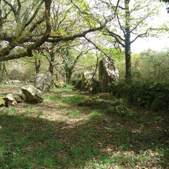 Alignements de Kerjean