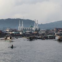 홀로