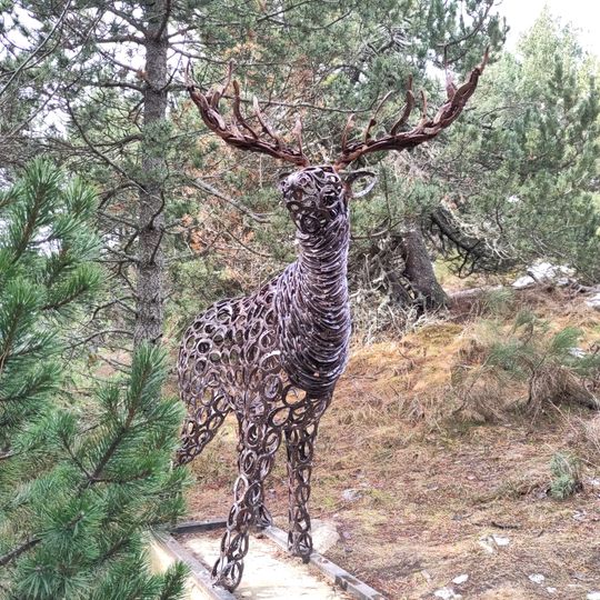 Le Cerf