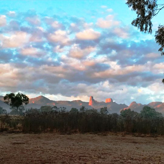 Southeast Australia temperate savanna