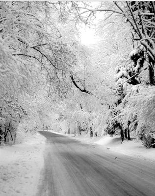 Winter 1