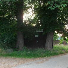 2 Ulmen an der ehemaligen Haltestelle der Kleinbahn