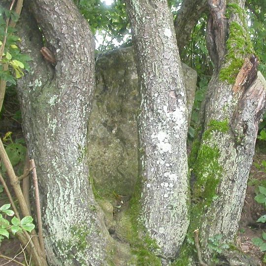 Milestone About 200 Metres North Along Green Lane To West Of St Mary's House