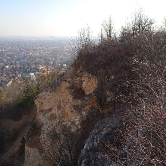 No 8 Cave of Róka-hegyi quarry