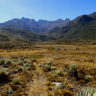 Pico Mucuñuque