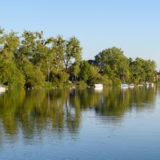 Uferstreifen am Main zwischen dem Markt Zell am Main und der Grenze des Landkreises Würzburg zu Lkr. Main-Spessart
