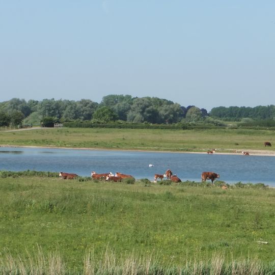 Vreugderijkerwaard