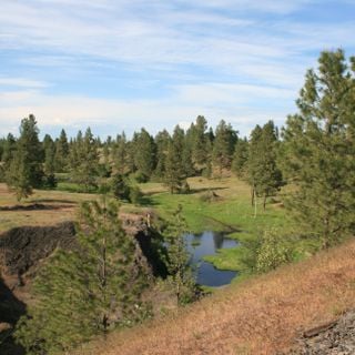 Turnbull National Wildlife Refuge