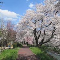 Provincia de Echizen