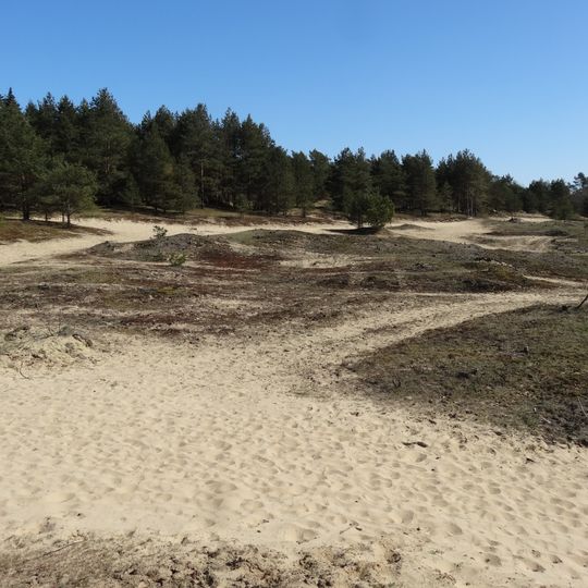 Münsterdorfer Geestinsel