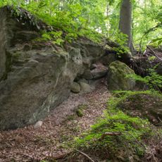 Ehemaliger Steinbruch nördlich des Distellochdamms
