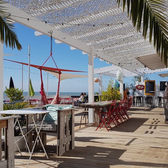 Le Papagayo