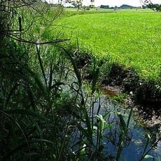 Inschutznahme der Oberallmannshauser Filze als LSG im Bereich der Gemeinden Höhenrain und Münsing