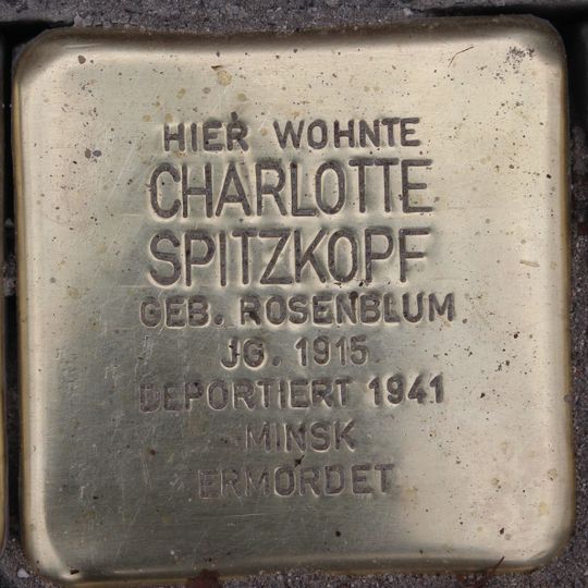 Stolperstein für Charlotte Spitzkopf