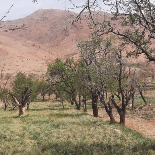 Shahrestān di Sarayan