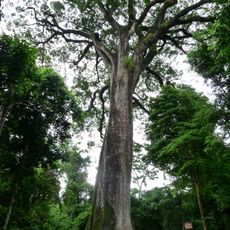 Vassununga State Park