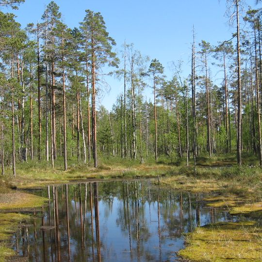 Parco nazionale di Lauhanvuori