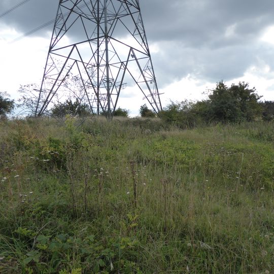 Ryhall Pasture and Little Warren Verges