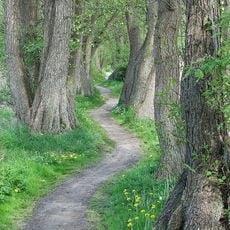 Hemmelsdorfer See und Umgebung