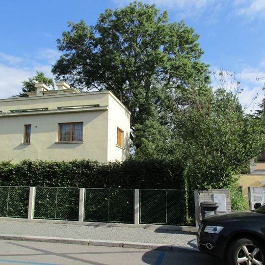 Rothmayerův jasan v Břevnově