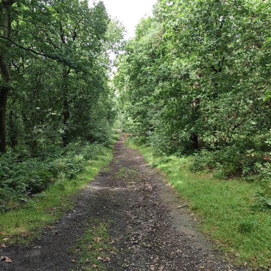 Biddulph Grange Country Park
