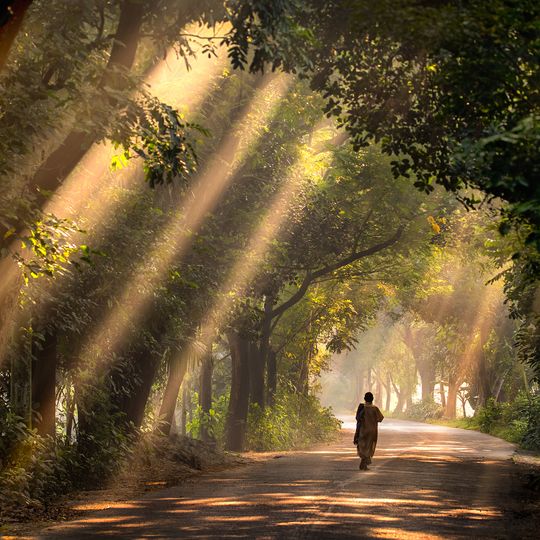 Parco nazionale di Satchari