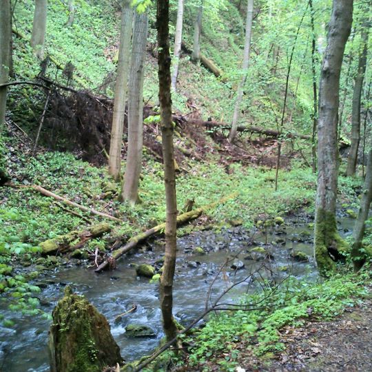 Rezerwat przyrody Wąwóz Myśliborski koło Jawora