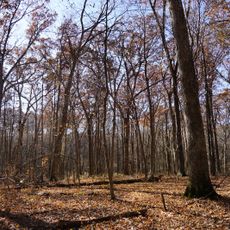 Spitler Woods State Natural Area