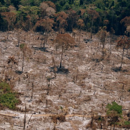 Iquiri National Forest