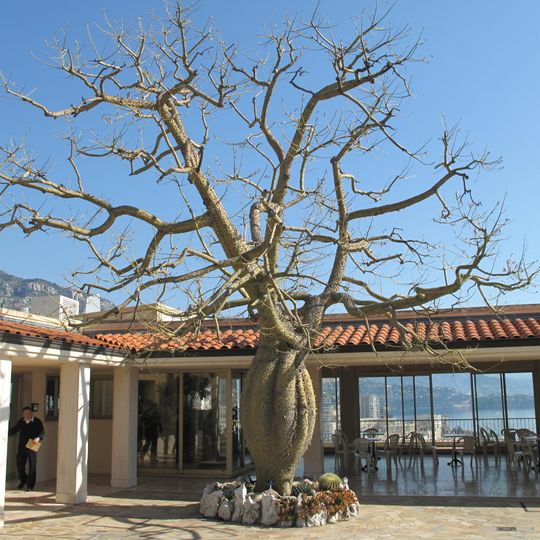 Giardino esotico di Monaco