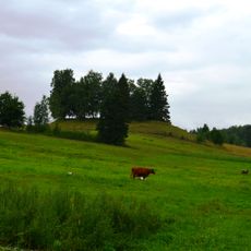 Petrešiūnai hillfort