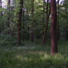 Waldgebiet Kettelerhorst