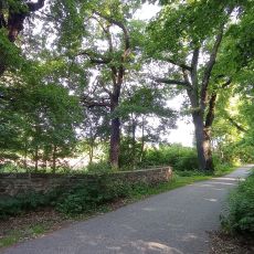 Alej k Bezdrevskému potoku