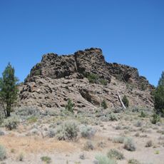 Lost Forest Research Natural Area